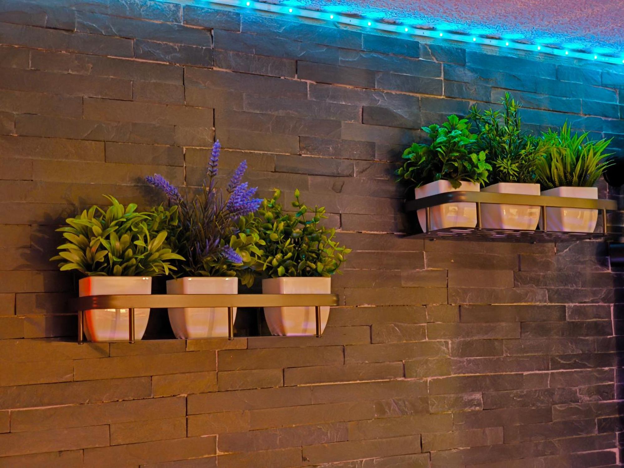 Love-Room Discret 40 M2 Bormes Les Mimosas Village Avec Terrasse 외부 사진